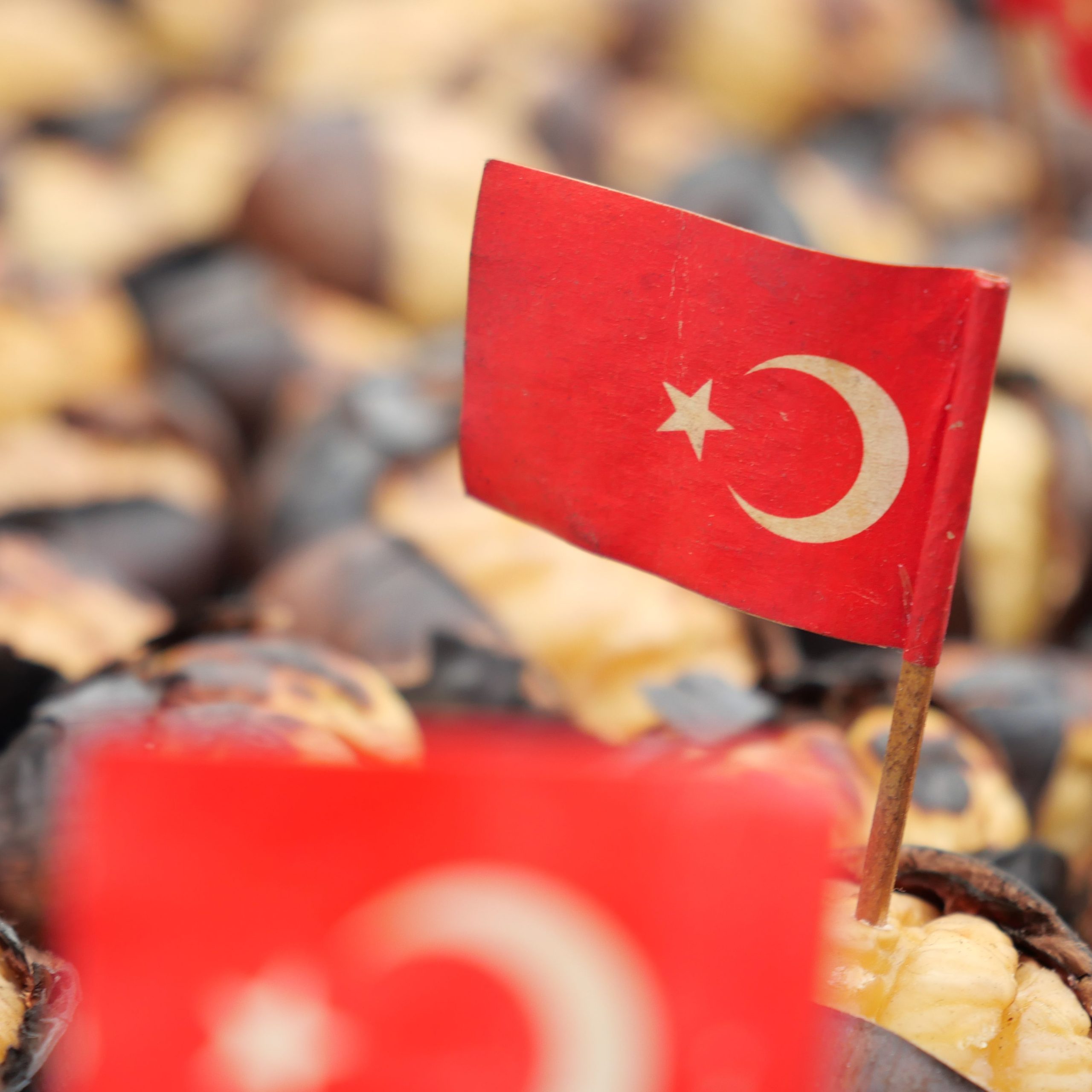 Türk Kurultayı Turu kapsamında gezilen bölgeden görünüm