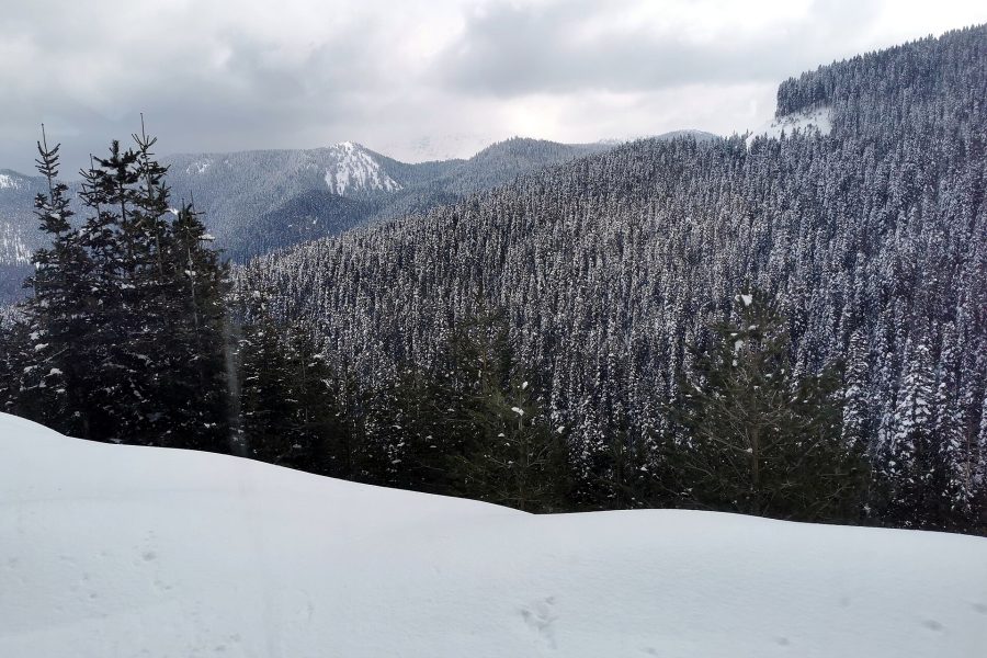 Jura Hotels Ilgaz Mountain & Resort