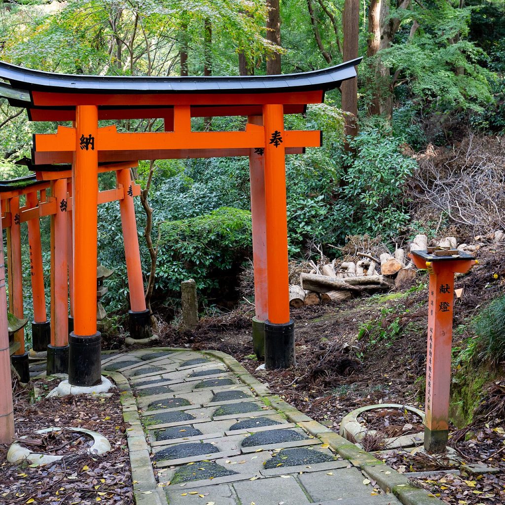 Japonya'nın Kyoto kentindeki Fushimi Inari Tapınağı'nın birbirini izleyen turuncu torii kapılarının görünümü