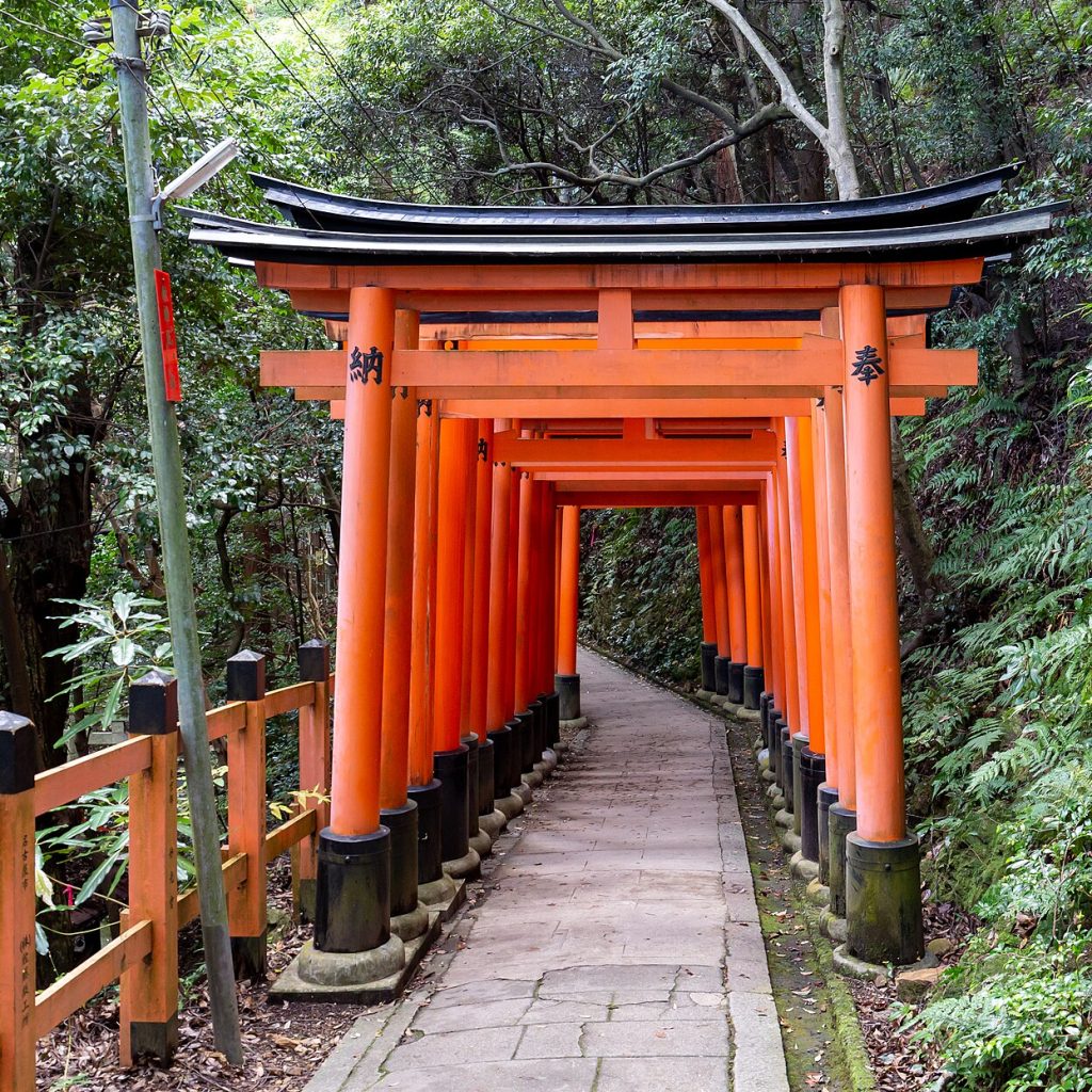 Japonya'daki Fushimi Inari Tapınağı'nda dağa doğru uzanan turuncu torii kapı tünelinin görünümü