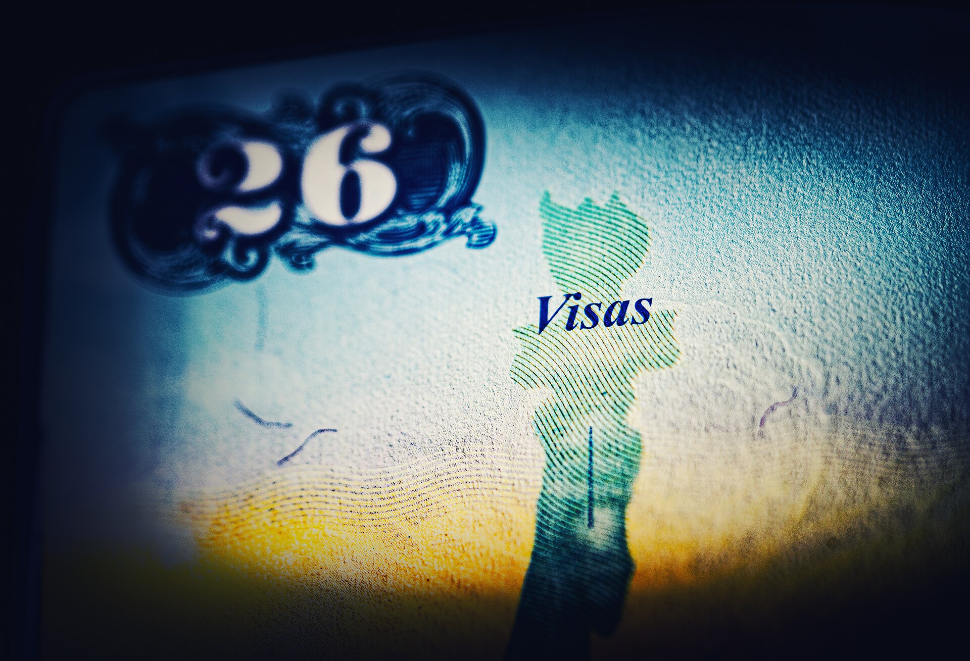 Bir pasaportun vize sayfasının yakın çekim görüntüsü