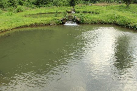 Park Dedeman Rize