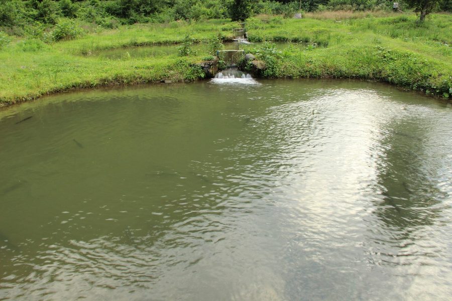Park Dedeman Rize