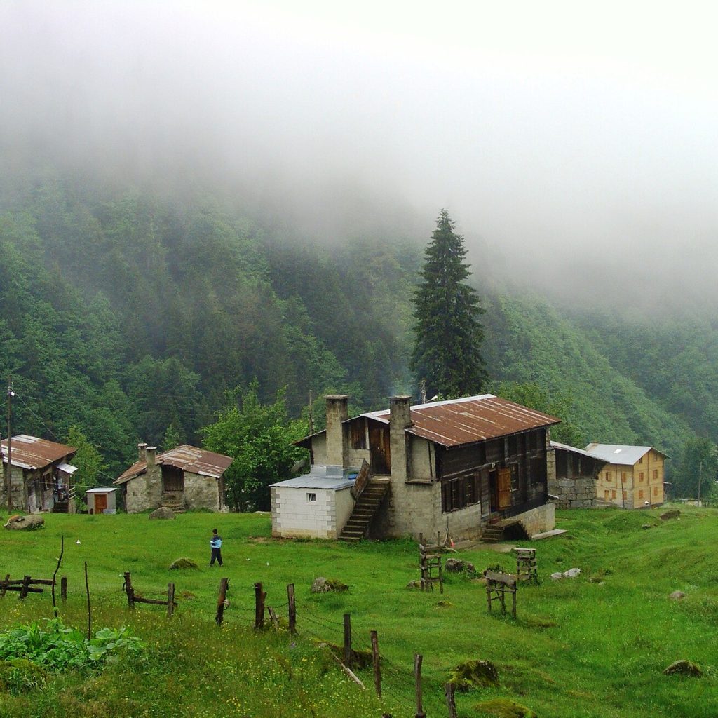 Rize'nin Çamlıhemşin ilçesindeki Ayder Yaylası'nın yamaç evleri ve yeşil çayırlarla kaplı manzarası