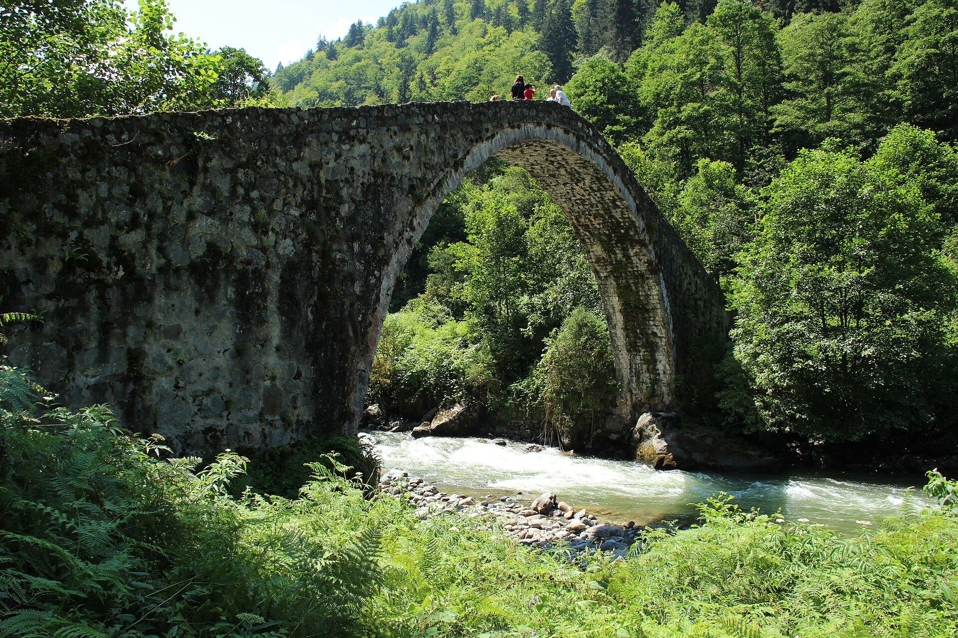 Kaçkar Resort Hotel — Fırtına Vadisi, Rize