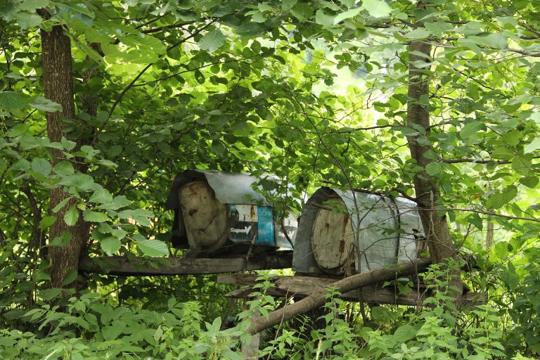 Park Dedeman Rize — Rize kırsalındaki geleneksel ahşap evler ve çay bahçeleriyle çevrili köy görünümü