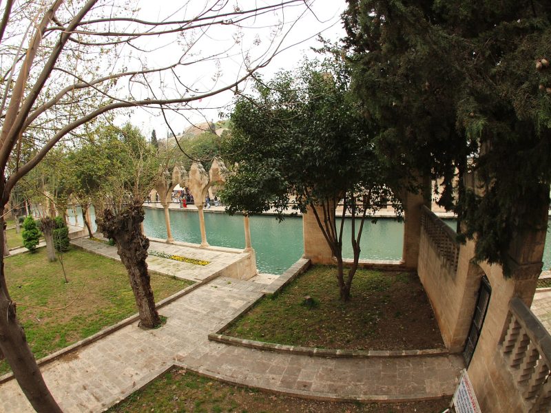 Elruha Hotel'in bulunduğu Şanlıurfa'da Balıklıgöl'ün kutsal sazan balıklarıyla dolu havuzu