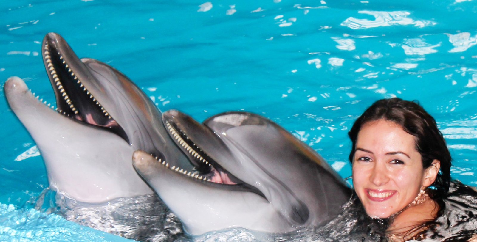 DOLPHIN SHOW